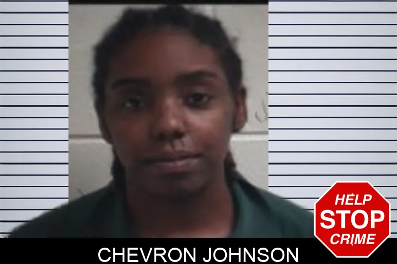 Chevron Johnson mugshot – Henry County , Georgia Chevron Johnson mugshot