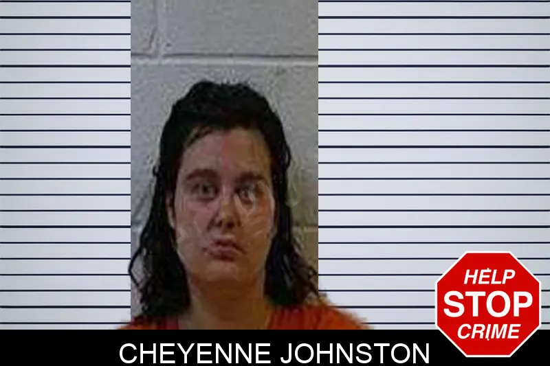 Cheyenne Johnston Mugshots