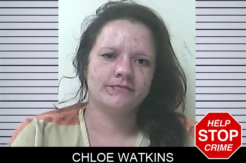 Chloe Watkins mugshot – Oconee County , Georgia Chloe Watkins mugshot