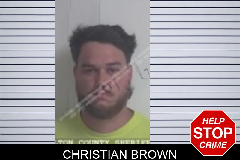 Christian Brown Mugshots