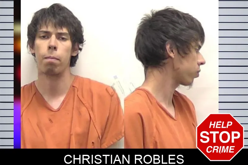 Christian Robles Mugshots