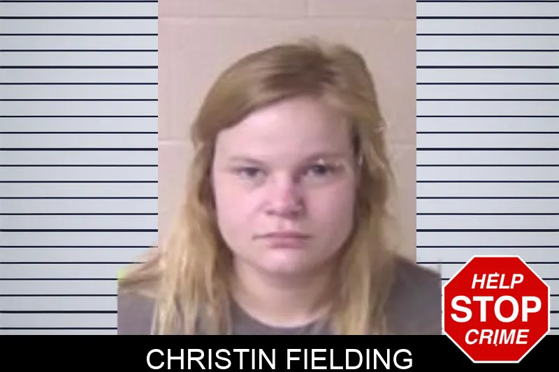 Christin Fielding Mugshots
