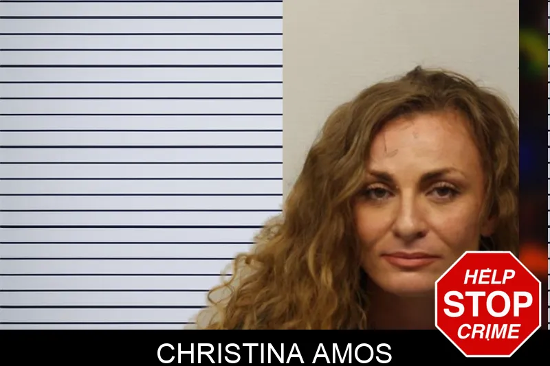 Christina Amos Mugshots