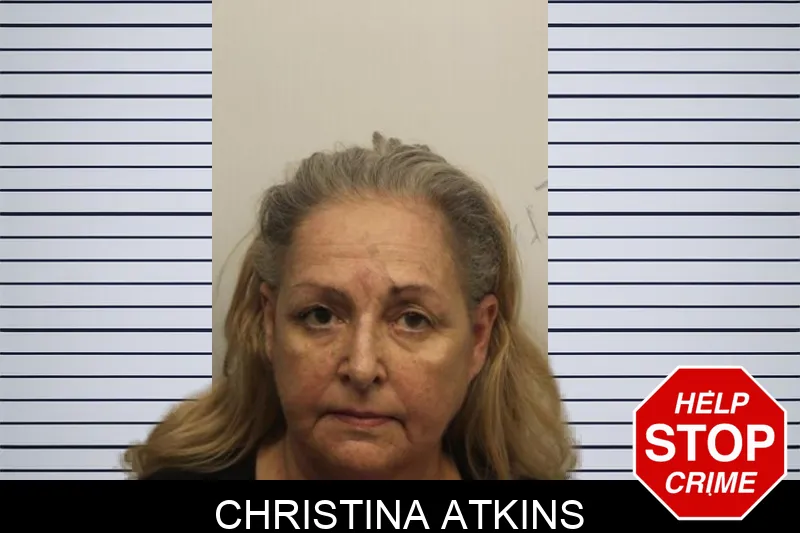 Christina Atkins mugshot – Chatham County , Georgia Christina Atkins mugshot