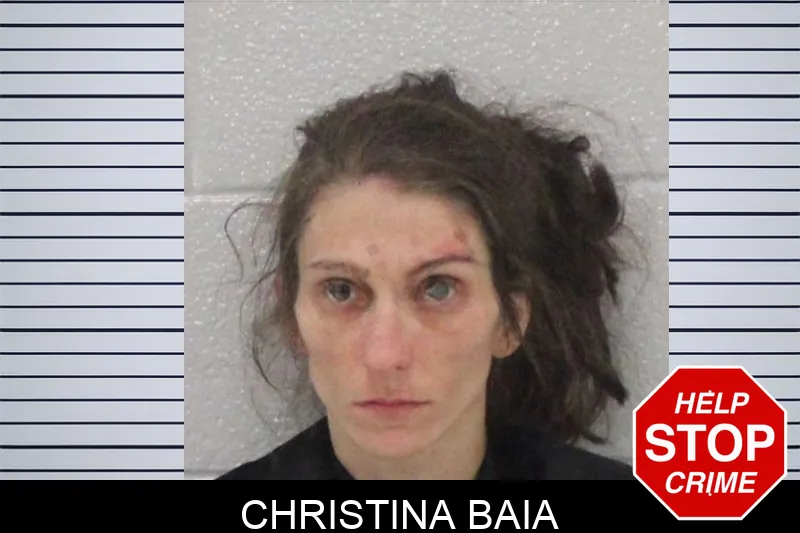 Christina Baia mugshot – Carroll County , Georgia Christina Baia mugshot