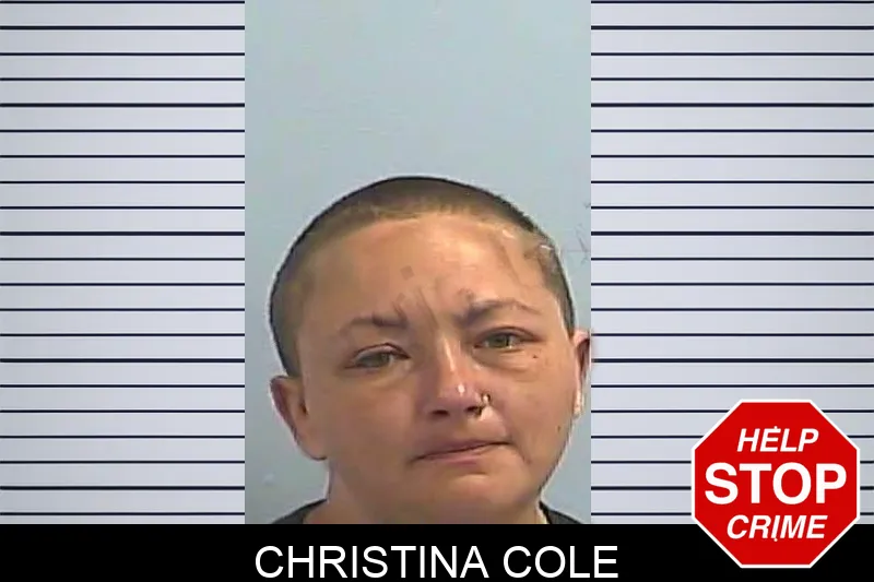 Christina Cole Mugshots
