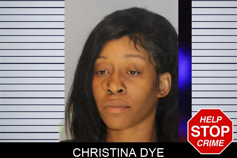 Christina Dye Mugshots