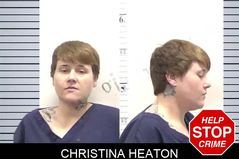 Christina Heaton Mugshots