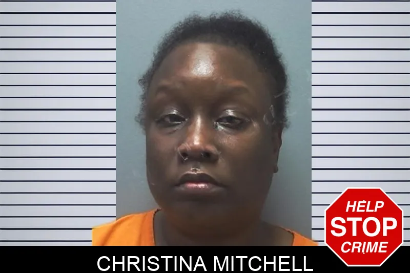 Christina Mitchell mugshot