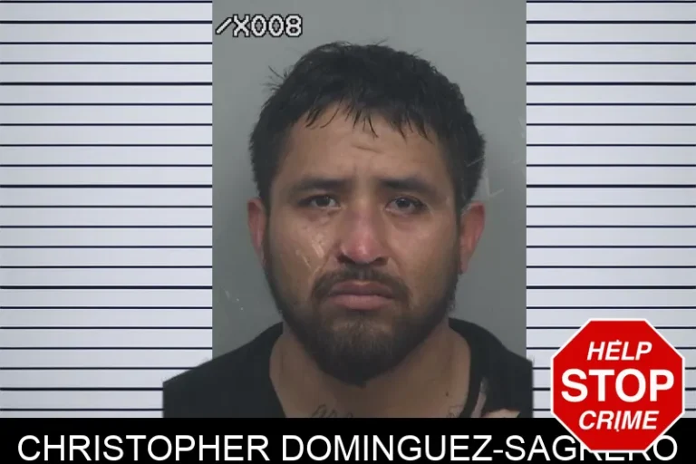 Christopher Dominguez-Sagrero