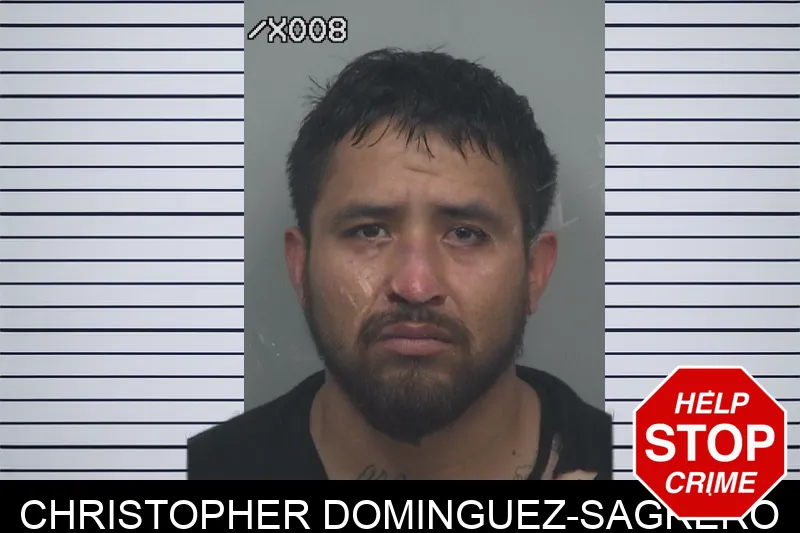 Christopher Dominguez-Sagrero mugshot – Gwinnett County , Georgia Christopher Dominguez-Sagrero mugshot