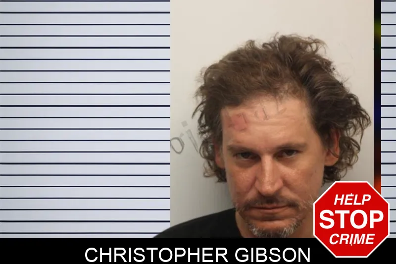 Christopher Gibson Mugshots