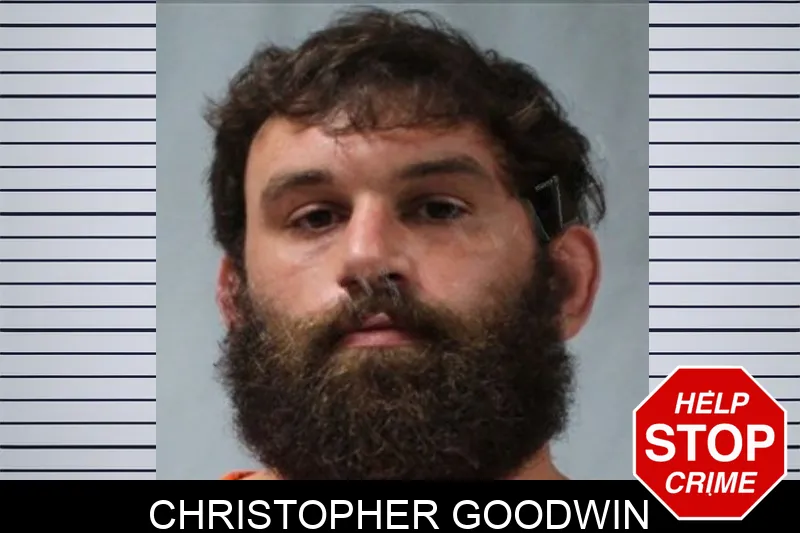 Christopher Goodwin Mugshots