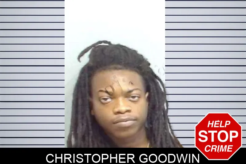 Christopher Goodwin mugshot