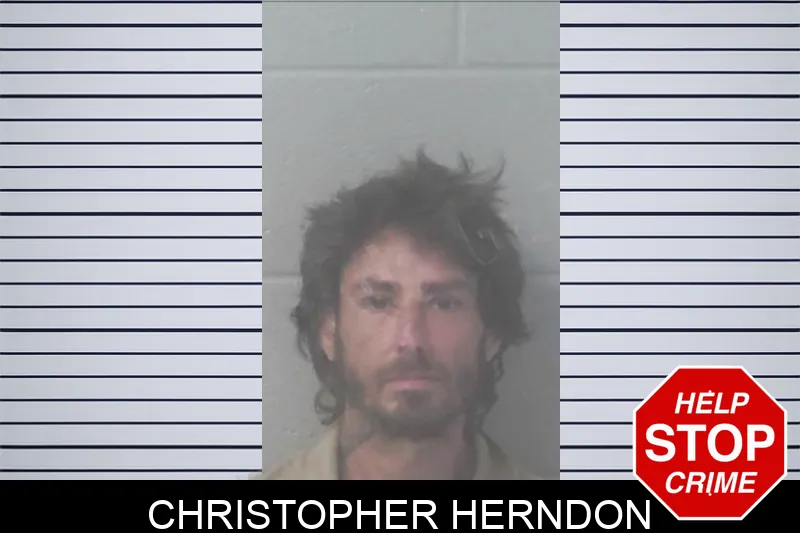 Christopher Herndon Mugshots