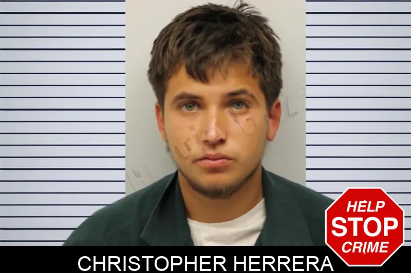 Christopher Herrera Mugshots