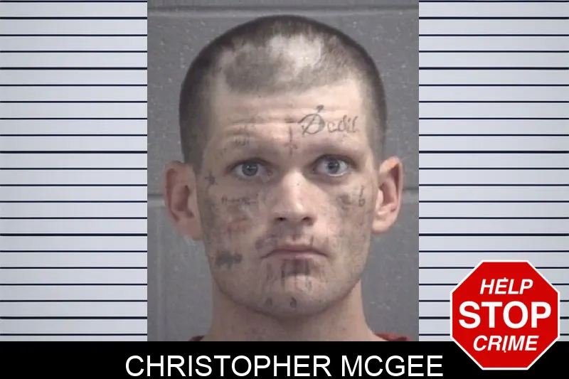 Christopher McGee Mugshots