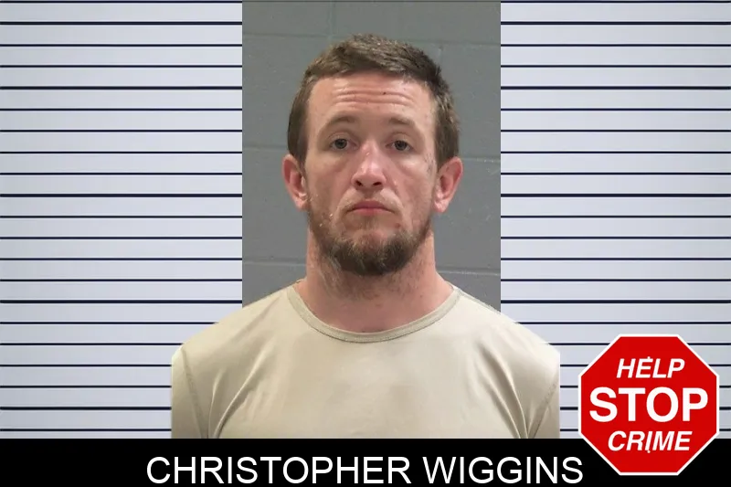 Christopher Wiggins Mugshots