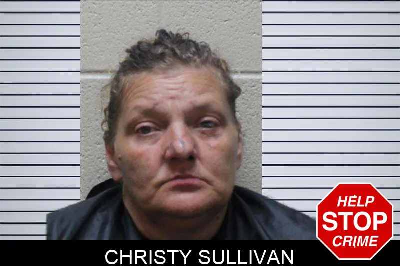 Christy Sullivan Mugshots