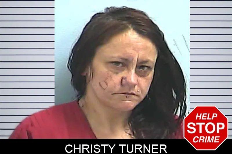 Christy Turner Mugshots