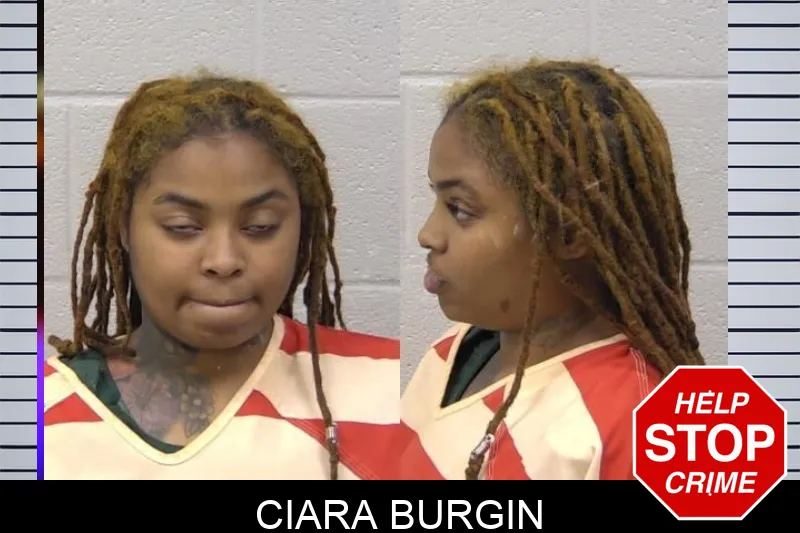 Ciara Burgin mugshot – Paulding County , Georgia Ciara Burgin mugshot