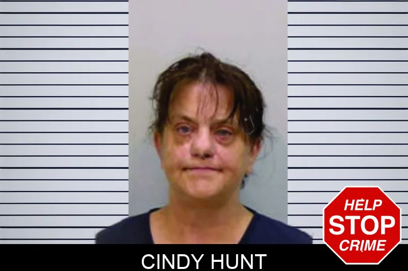 Cindy Hunt mugshot – Bartow County , Georgia Cindy Hunt mugshot