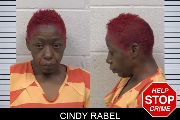 Cindy Rabel mugshot – Paulding County , Georgia Cindy Rabel