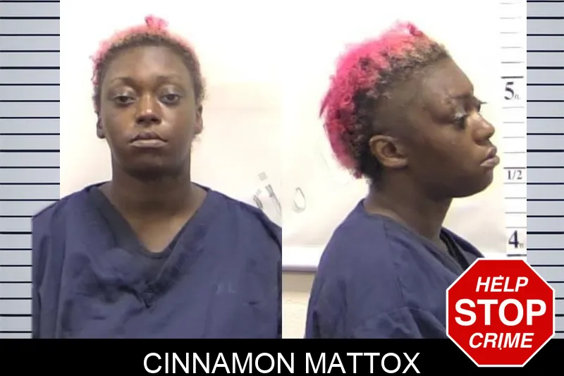 Cinnamon Mattox Mugshots