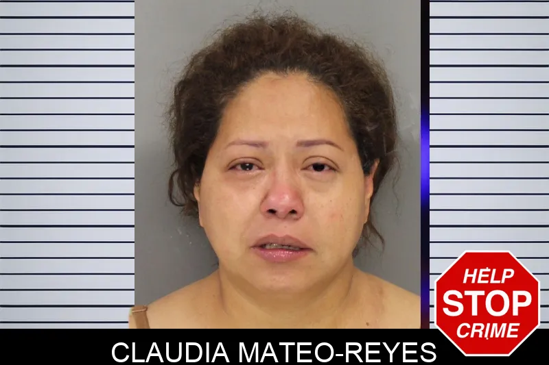 Claudia Mateo-Reyes Mugshots