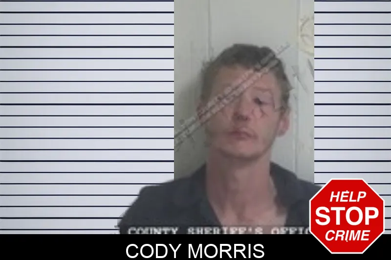Cody Morris Mugshots