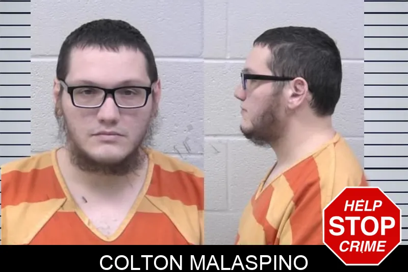 Colton Malaspino mugshot – Paulding County , Georgia Colton Malaspino