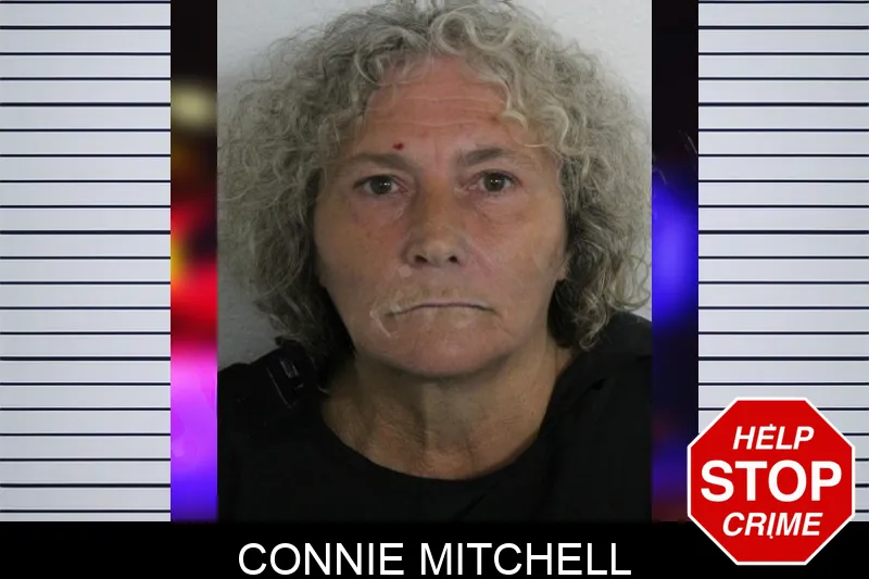 Connie Mitchell Mugshots