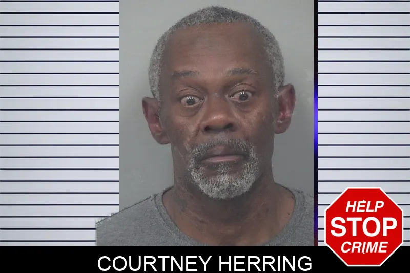 Courtney Herring mugshot – Gwinnett County , Georgia Courtney Herring mugshot