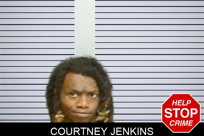 Courtney Jenkins mugshot – Fulton County , Georgia Courtney Jenkins mugshot
