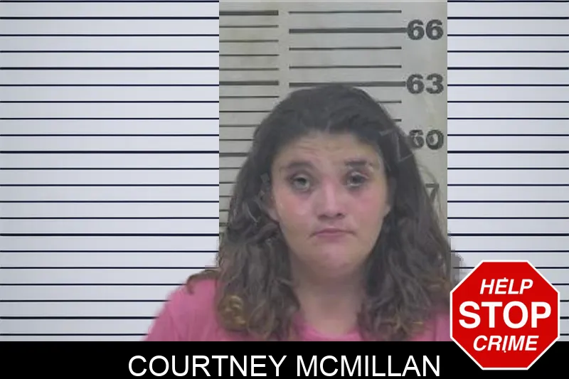 Courtney McMillan Mugshots