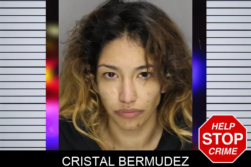 Cristal Bermudez Mugshots