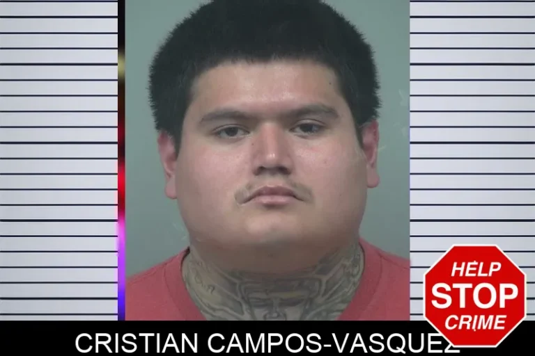 Cristian Campos-Vasquez