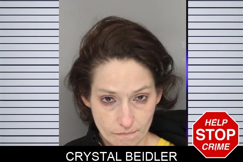 Crystal Beidler mugshot