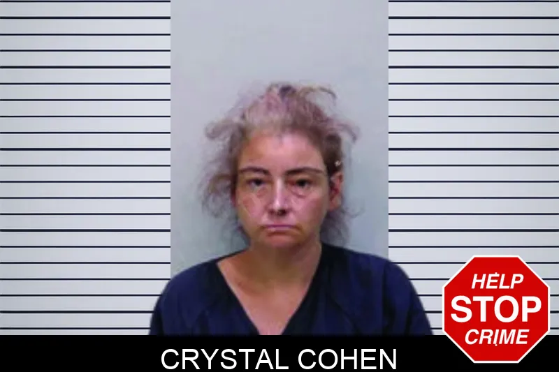 Crystal Cohen mugshot
