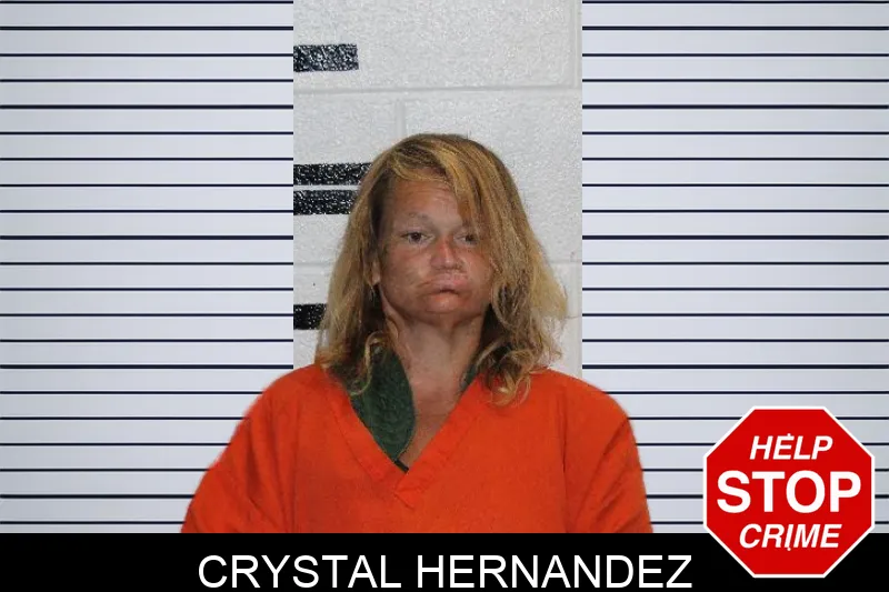 Crystal Hernandez Mugshots