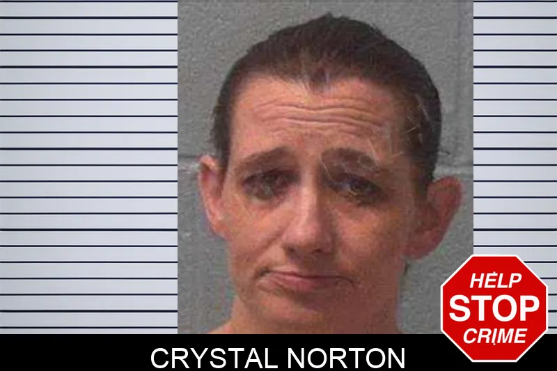 Crystal Norton Mugshots