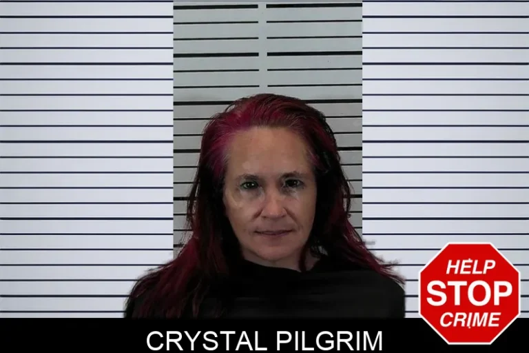 Crystal Pilgrim