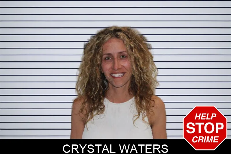 Crystal Waters mugshot