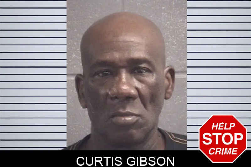 Curtis Gibson Mugshots