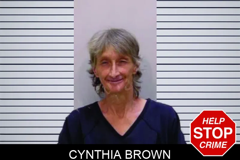 Cynthia Brown mugshot – Bartow County , Georgia Cynthia Brown mugshot