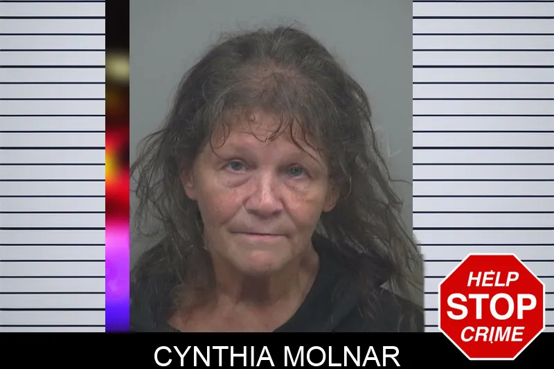 Cynthia Molnar Mugshots