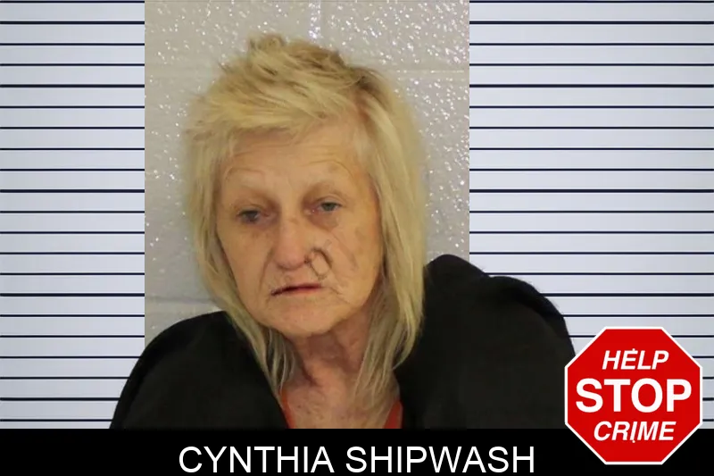 Cynthia Shipwash mugshot – Carroll County , Georgia Cynthia Shipwash mugshot