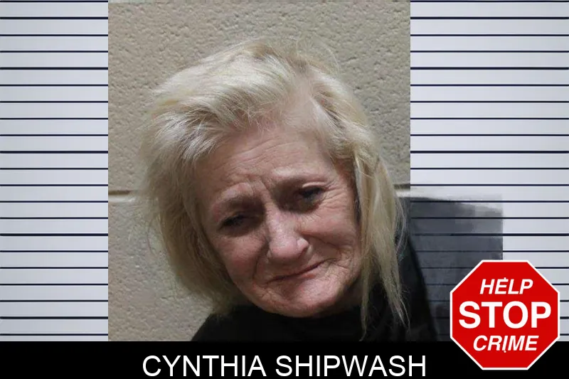 Cynthia Shipwash