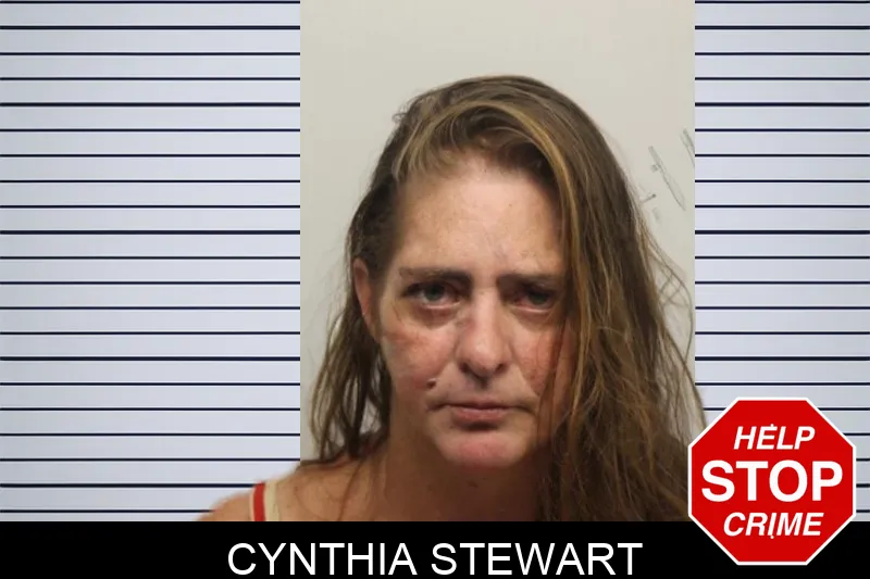Cynthia Stewart Mugshots