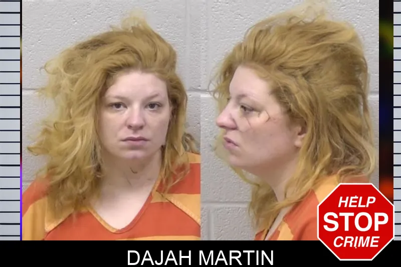 Dajah Martin mugshot – Paulding County , Georgia Dajah Martin mugshot